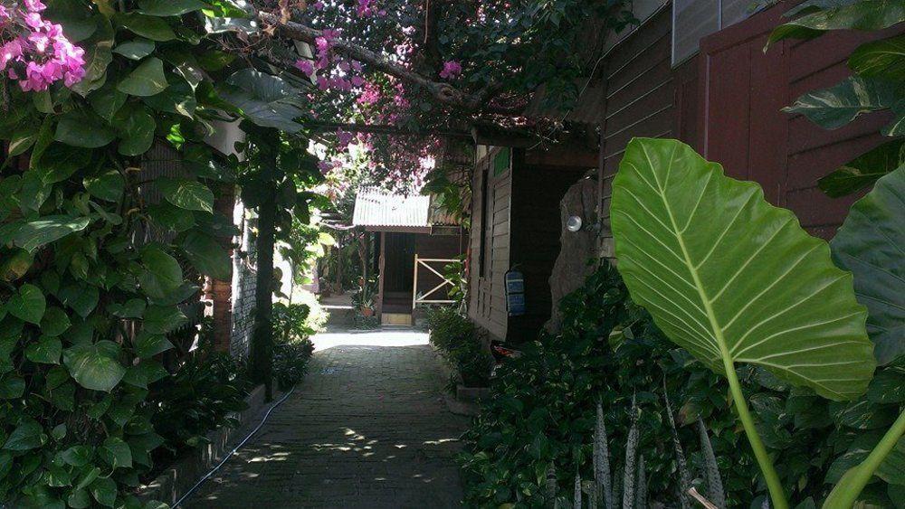 קמפונג טלוק ניפה Ombak Inn Chalet מראה חיצוני תמונה